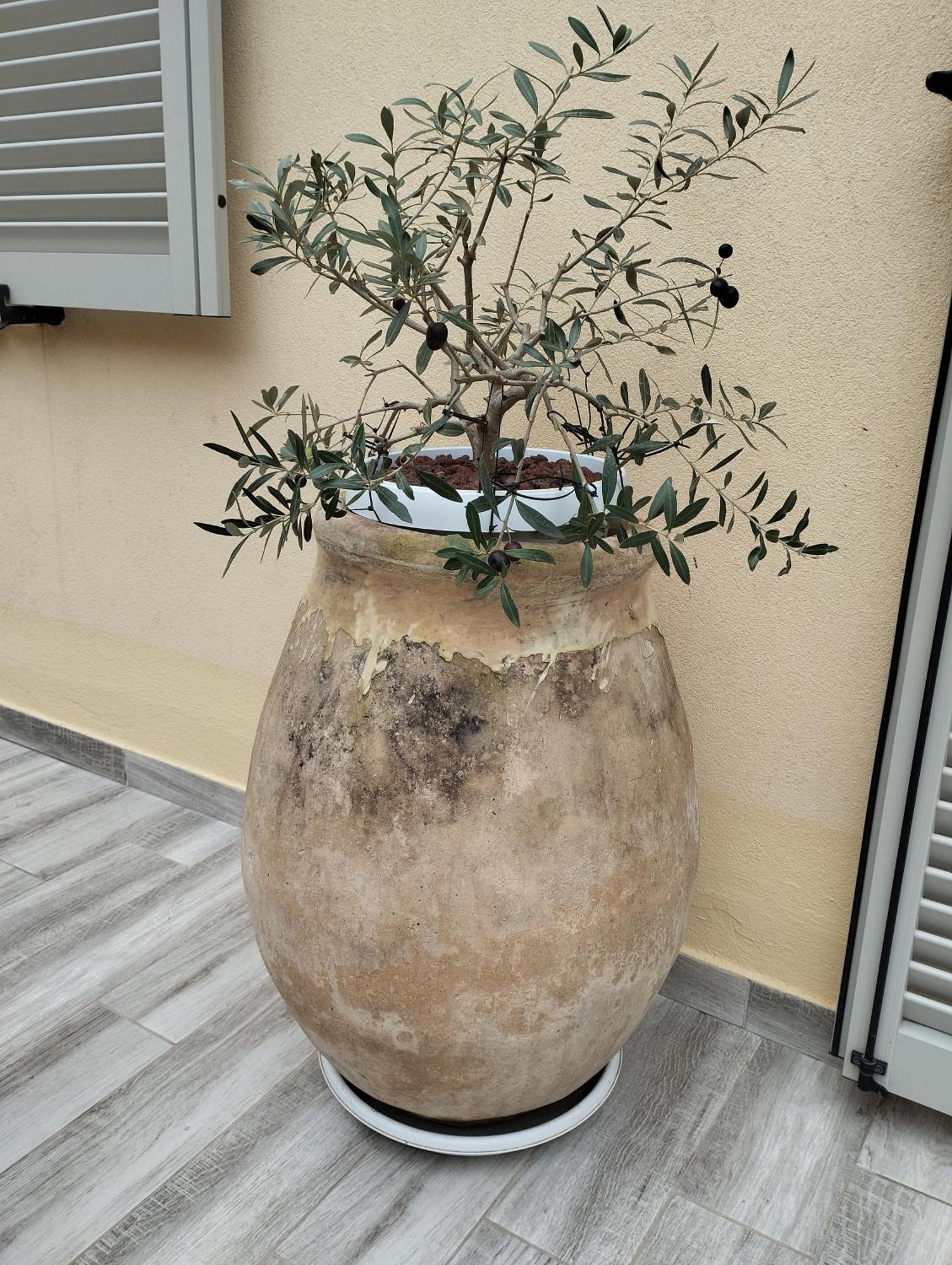 Apartamento Pama Mar Imperia Exterior foto