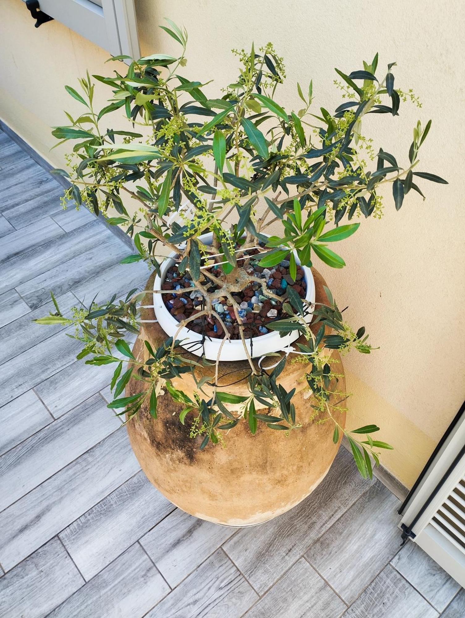 Apartamento Pama Mar Imperia Exterior foto
